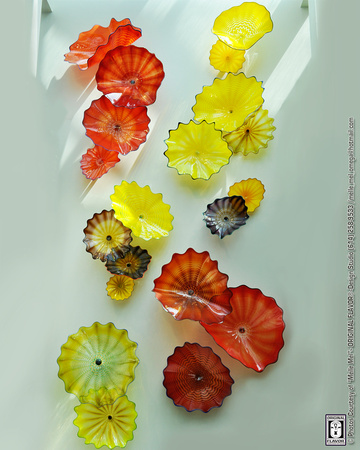 Glass Art @ FPC (Artist: Dale Chihuly) 07