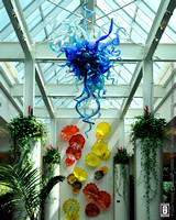 Glass Art @ FPC (Artist: Dale Chihuly) 03