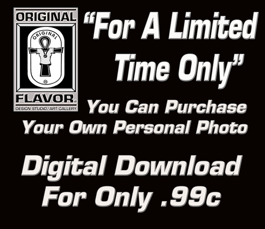 Digital Downloads of any Photo for Only .99¢ (Limited Time Only)