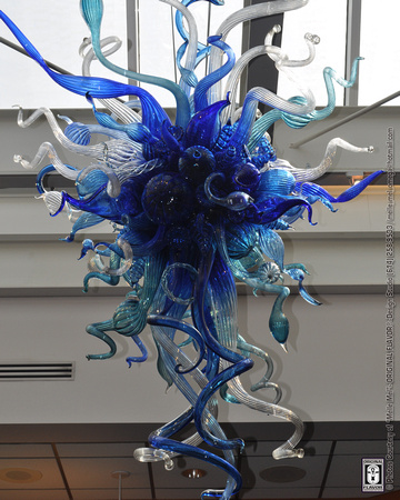 Glass Art @ FPC (Artist: Dale Chihuly) 05