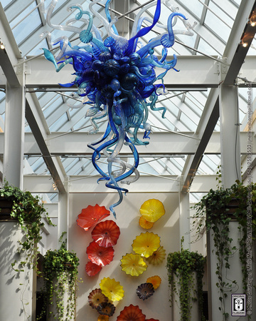 Glass Art @ FPC (Artist: Dale Chihuly) 04