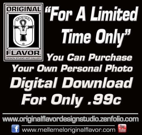 CONTACT ME IF YOU NEED HELP: melle_mel_omega@hotmail.com Digital Downloads  .99¢ (Limited Time Only)