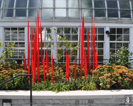 Glass Art @ FPC (Artist: Dale Chihuly) 10