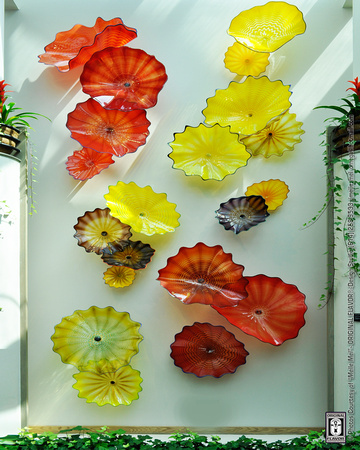 Glass Art @ FPC (Artist: Dale Chihuly) 06