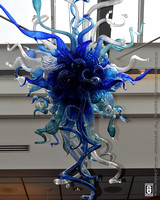 Glass Art @ FPC (Artist: Dale Chihuly) 05