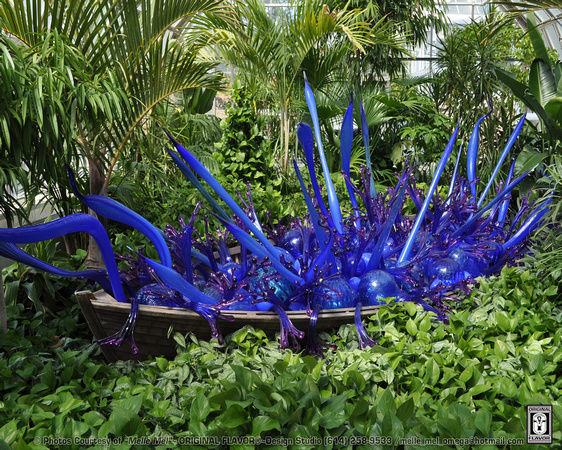 Glass Art @ FPC (Artist: Dale Chihuly) 14