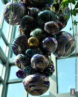 Glass Art @ FPC Foyer (Artist: Dale Chihuly) 02